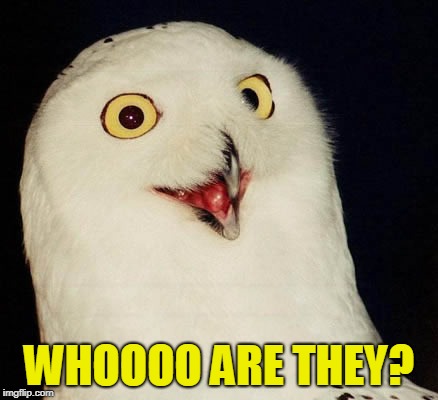 orly owl | WHOOOO ARE THEY? | image tagged in orly owl | made w/ Imgflip meme maker