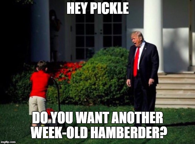 Week-Old Hamberders | HEY PICKLE; DO YOU WANT ANOTHER WEEK-OLD HAMBERDER? | image tagged in trump yells at lawnmower kid,hamberder,memes,politics | made w/ Imgflip meme maker