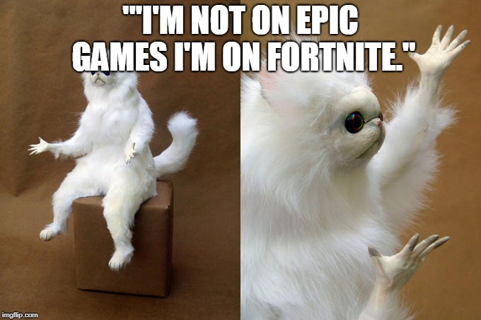Persian Cat Room Guardian | "'I'M NOT ON EPIC GAMES I'M ON FORTNITE." | image tagged in memes,persian cat room guardian | made w/ Imgflip meme maker
