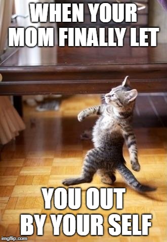 Cool Cat Stroll Meme | WHEN YOUR MOM FINALLY LET; YOU OUT BY YOUR SELF | image tagged in memes,cool cat stroll | made w/ Imgflip meme maker
