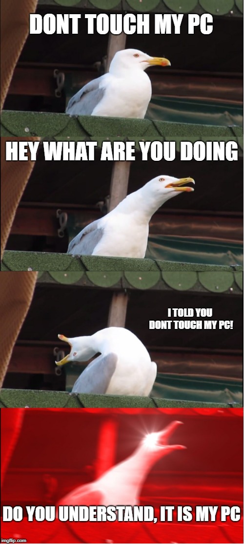 Inhaling Seagull Meme | DONT TOUCH MY PC; HEY WHAT ARE YOU DOING; I TOLD YOU DONT TOUCH MY PC! DO YOU UNDERSTAND, IT IS MY PC | image tagged in memes,inhaling seagull | made w/ Imgflip meme maker