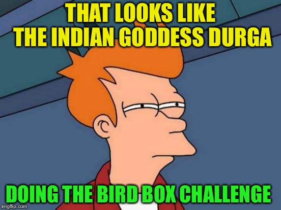 Futurama Fry Meme | THAT LOOKS LIKE THE INDIAN GODDESS DURGA DOING THE BIRD BOX CHALLENGE | image tagged in memes,futurama fry | made w/ Imgflip meme maker