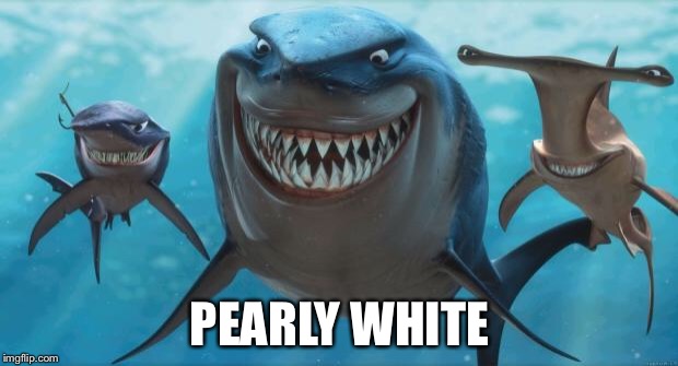 Finding Nemo Sharks | PEARLY WHITE | image tagged in finding nemo sharks | made w/ Imgflip meme maker