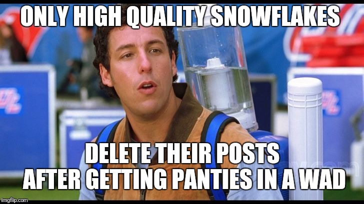 water boy imahgae | ONLY HIGH QUALITY SNOWFLAKES; DELETE THEIR POSTS AFTER GETTING PANTIES IN A WAD | image tagged in water boy imahgae | made w/ Imgflip meme maker