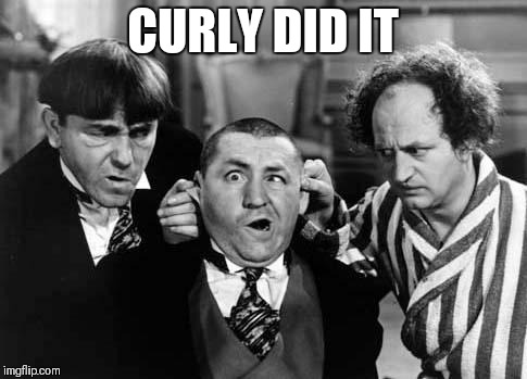 Three Stooges | CURLY DID IT | image tagged in three stooges | made w/ Imgflip meme maker