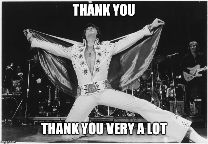 Elvis  | THANK YOU THANK YOU VERY A LOT | image tagged in elvis | made w/ Imgflip meme maker