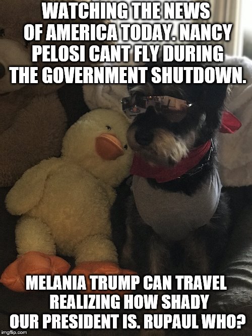 WATCHING THE NEWS OF AMERICA TODAY. NANCY PELOSI CANT FLY DURING THE GOVERNMENT SHUTDOWN. MELANIA TRUMP CAN TRAVEL  REALIZING HOW SHADY OUR PRESIDENT IS. RUPAUL WHO? | image tagged in dorian de la renta | made w/ Imgflip meme maker