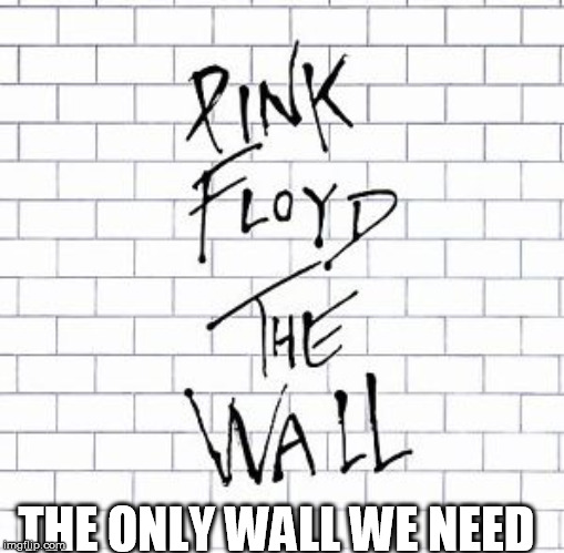 THE ONLY WALL WE NEED | image tagged in wall,trump,trump wall | made w/ Imgflip meme maker