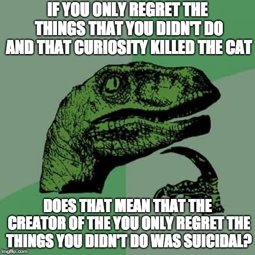 Philosoraptor | IF YOU ONLY REGRET THE THINGS THAT YOU DIDN'T DO AND THAT CURIOSITY KILLED THE CAT; DOES THAT MEAN THAT THE CREATOR OF THE YOU ONLY REGRET THE THINGS YOU DIDN'T DO WAS SUICIDAL? | image tagged in memes,philosoraptor | made w/ Imgflip meme maker