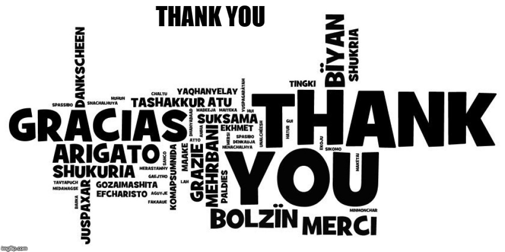 thanks | THANK YOU | image tagged in thanks | made w/ Imgflip meme maker