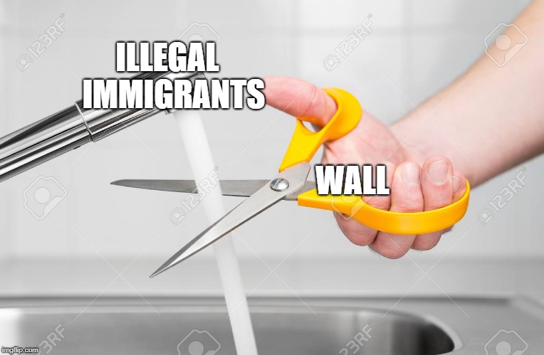 cutting water with scissors | ILLEGAL 
IMMIGRANTS; WALL | image tagged in cutting water with scissors,wall,illegal immigrants,useless | made w/ Imgflip meme maker
