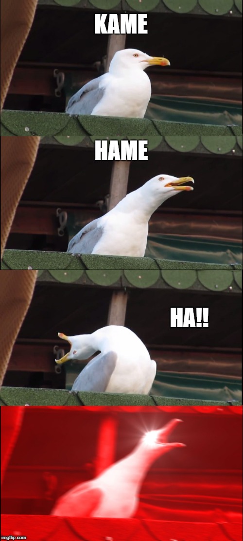 Inhaling Seagull | KAME; HAME; HA!! | image tagged in memes,inhaling seagull | made w/ Imgflip meme maker
