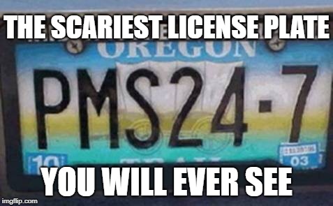 For your own safety, man, pull off the road until she's out of sight! | THE SCARIEST LICENSE PLATE; YOU WILL EVER SEE | image tagged in pms,license plate,run dont walk,scary things | made w/ Imgflip meme maker