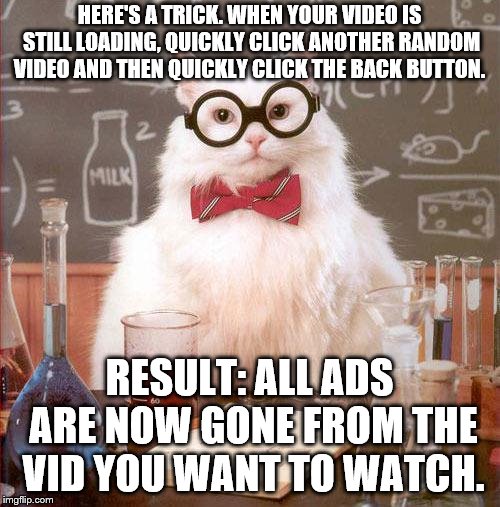 Science Cat | HERE'S A TRICK. WHEN YOUR VIDEO IS STILL LOADING, QUICKLY CLICK ANOTHER RANDOM VIDEO AND THEN QUICKLY CLICK THE BACK BUTTON. RESULT: ALL ADS | image tagged in science cat | made w/ Imgflip meme maker