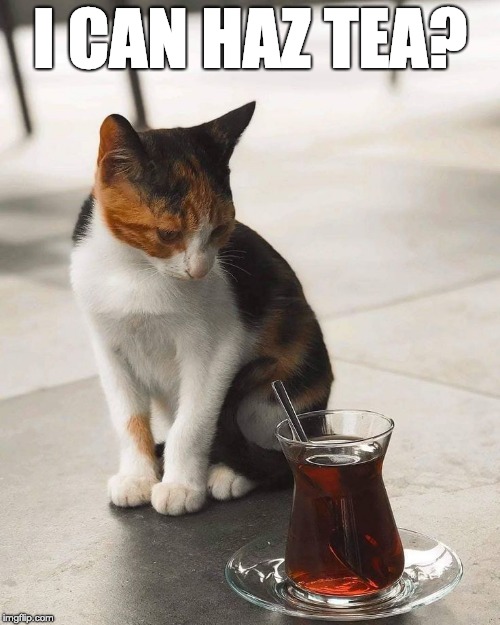 I CAN HAZ TEA? | made w/ Imgflip meme maker