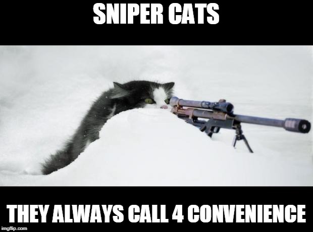 Sniper Cat | SNIPER CATS; THEY ALWAYS CALL 4 CONVENIENCE | image tagged in sniper cat | made w/ Imgflip meme maker