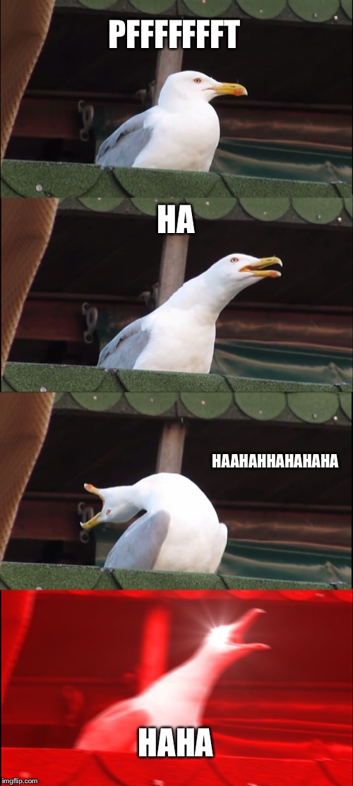 Inhaling Seagull | PFFFFFFFT; HA; HAAHAHHAHAHAHA; HAHA | image tagged in memes,inhaling seagull | made w/ Imgflip meme maker