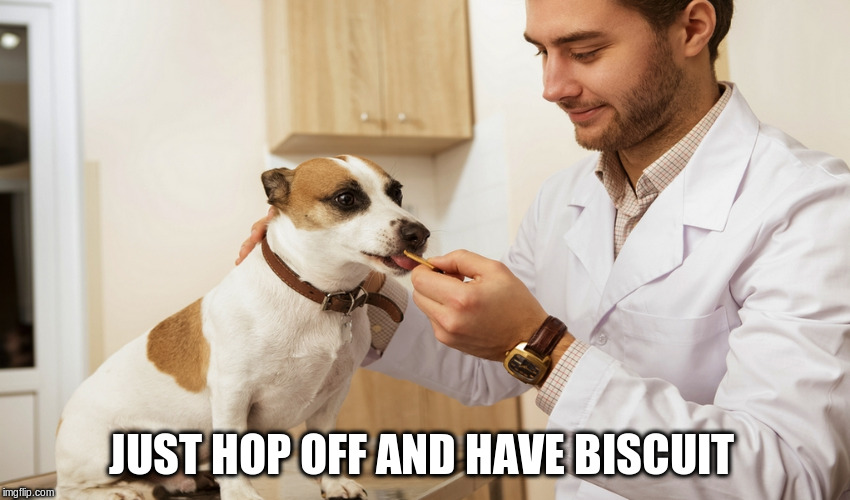 JUST HOP OFF AND HAVE BISCUIT | made w/ Imgflip meme maker