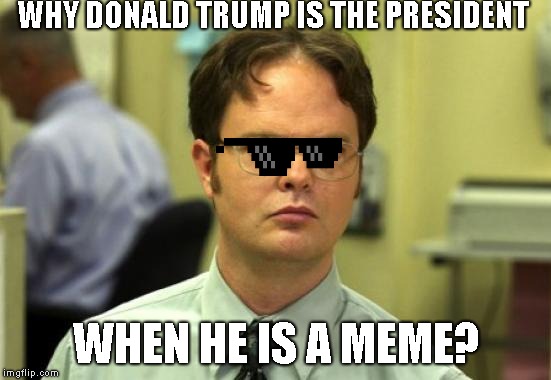 Dwight Schrute | WHY DONALD TRUMP IS THE PRESIDENT; WHEN HE IS A MEME? | image tagged in memes,dwight schrute | made w/ Imgflip meme maker