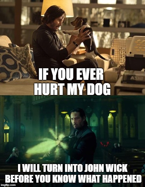 you've been warned... | IF YOU EVER HURT MY DOG; I WILL TURN INTO JOHN WICK BEFORE YOU KNOW WHAT HAPPENED | image tagged in john wick,dogs,pets,love | made w/ Imgflip meme maker