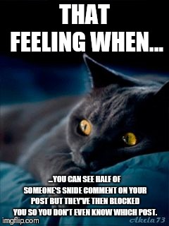 Thoughtful Cat | THAT FEELING WHEN... ...YOU CAN SEE HALF OF SOMEONE'S SNIDE COMMENT ON YOUR POST BUT THEY'VE THEN BLOCKED YOU SO YOU DON'T EVEN KNOW WHICH POST. | image tagged in thoughtful cat | made w/ Imgflip meme maker