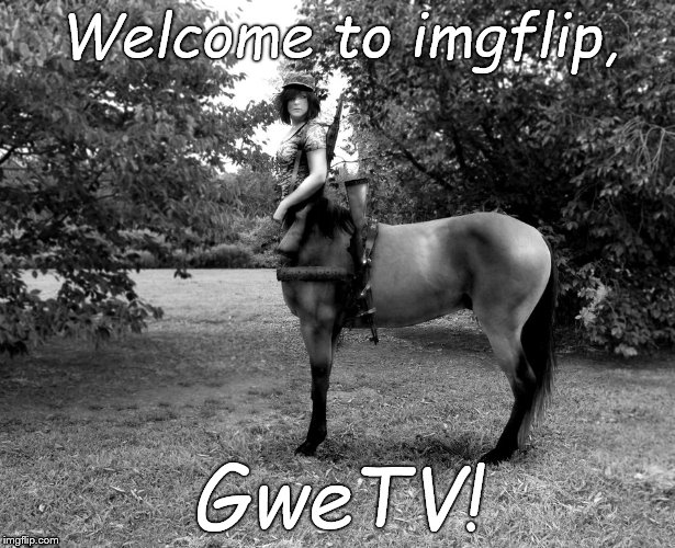 Centaur Soldier | Welcome to imgflip, GweTV! | image tagged in centaur soldier | made w/ Imgflip meme maker