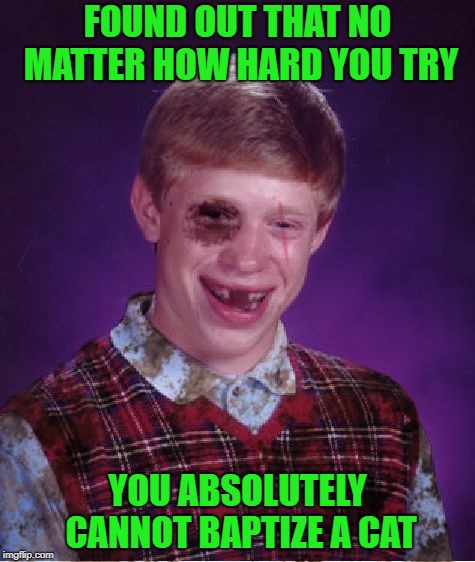 I've never found a cat that was that religious!!! | FOUND OUT THAT NO MATTER HOW HARD YOU TRY; YOU ABSOLUTELY CANNOT BAPTIZE A CAT | image tagged in beat-up bad luck brian,memes,cats,funny,baptize,bad luck brian | made w/ Imgflip meme maker