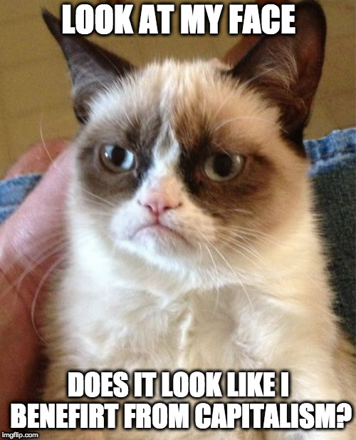Grumpy Cat | LOOK AT MY FACE; DOES IT LOOK LIKE I BENEFIRT FROM CAPITALISM? | image tagged in memes,grumpy cat | made w/ Imgflip meme maker