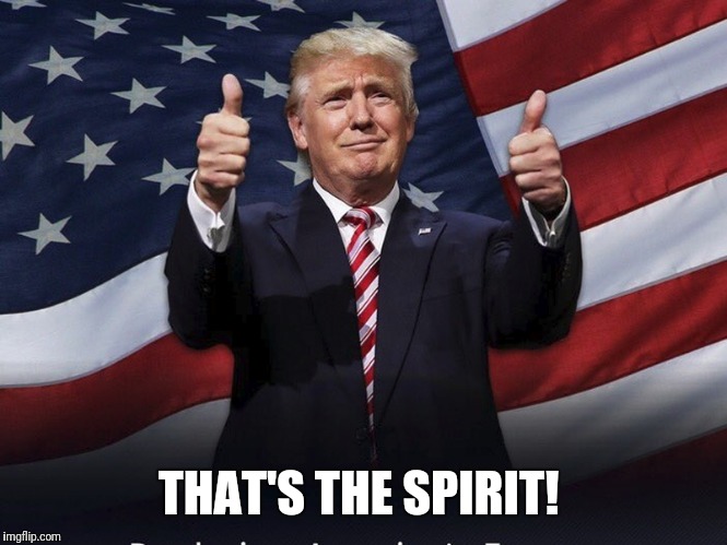 Donald Trump Thumbs Up | THAT'S THE SPIRIT! | image tagged in donald trump thumbs up | made w/ Imgflip meme maker