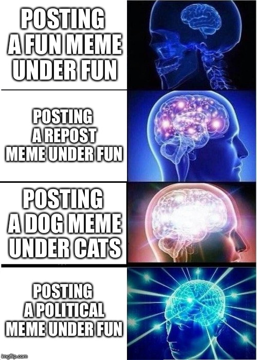 Please don’t try the last one at HOME, kids! | POSTING A FUN MEME UNDER FUN; POSTING A REPOST MEME UNDER FUN; POSTING A DOG MEME UNDER CATS; POSTING A POLITICAL MEME UNDER FUN | image tagged in memes,expanding brain | made w/ Imgflip meme maker