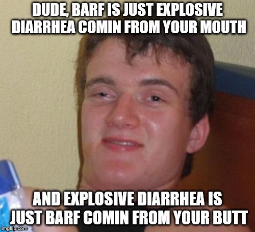 10 Guy | DUDE, BARF IS JUST EXPLOSIVE DIARRHEA COMIN FROM YOUR MOUTH; AND EXPLOSIVE DIARRHEA IS JUST BARF COMIN FROM YOUR BUTT | image tagged in memes,10 guy | made w/ Imgflip meme maker