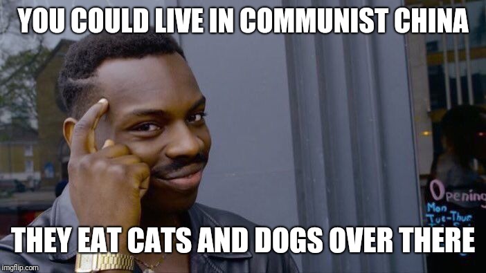 Roll Safe Think About It Meme | YOU COULD LIVE IN COMMUNIST CHINA THEY EAT CATS AND DOGS OVER THERE | image tagged in memes,roll safe think about it | made w/ Imgflip meme maker