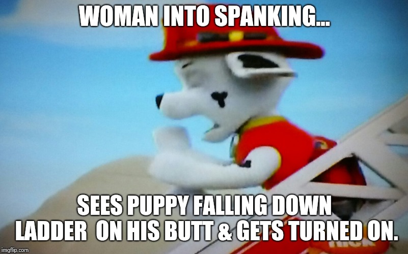 WOMAN INTO SPANKING... SEES PUPPY FALLING DOWN LADDER  ON HIS BUTT & GETS TURNED ON. | image tagged in marshall | made w/ Imgflip meme maker