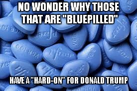The wordplay was just too good.... | NO WONDER WHY THOSE THAT ARE "BLUEPILLED"; HAVE A "HARD-ON" FOR DONALD TRUMP | image tagged in donald trump,democrats,red pill blue pill,liberals,trump derangement syndrome | made w/ Imgflip meme maker