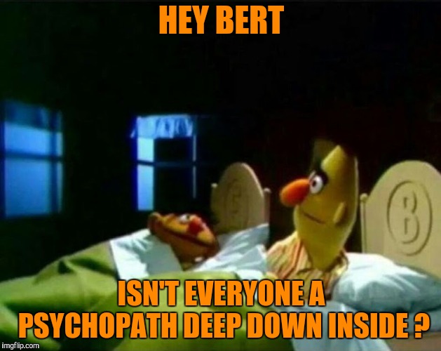 Ernie and Bert | HEY BERT ISN'T EVERYONE A PSYCHOPATH DEEP DOWN INSIDE ? | image tagged in ernie and bert | made w/ Imgflip meme maker