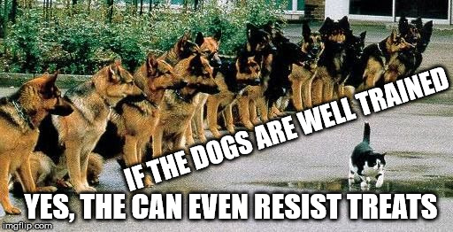 Shepard Training | IF THE DOGS ARE WELL TRAINED; YES, THE CAN EVEN RESIST TREATS | image tagged in shepard training | made w/ Imgflip meme maker