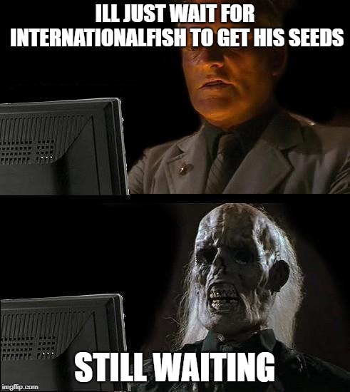 Still Waiting | ILL JUST WAIT FOR INTERNATIONALFISH TO GET HIS SEEDS; STILL WAITING | image tagged in still waiting | made w/ Imgflip meme maker