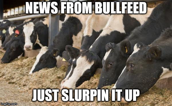 NEWS FROM BULLFEED; JUST SLURPIN IT UP | image tagged in bullfeed | made w/ Imgflip meme maker