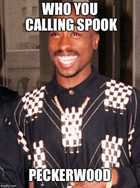2pac | WHO YOU CALLING SPOOK PECKERWOOD | image tagged in 2pac | made w/ Imgflip meme maker
