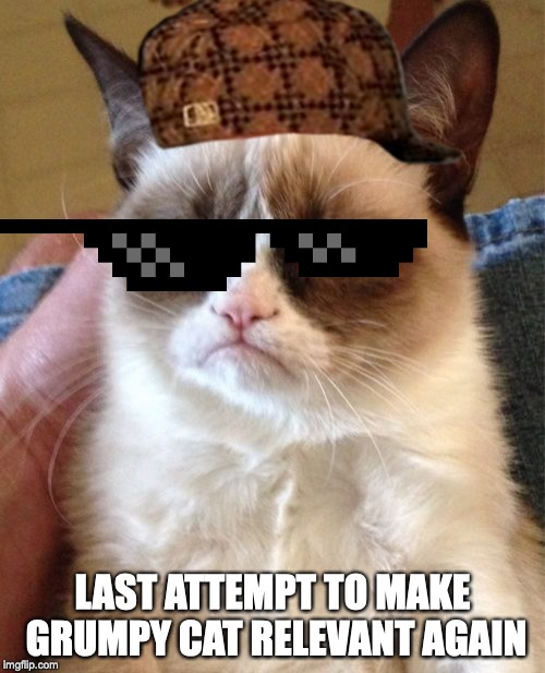 Grumpy Cat | LAST ATTEMPT TO MAKE GRUMPY CAT RELEVANT AGAIN | image tagged in memes,grumpy cat | made w/ Imgflip meme maker