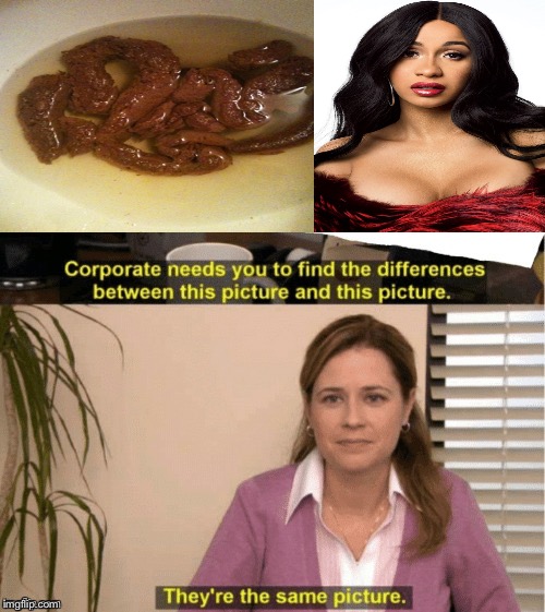 They're The Same Picture Meme | image tagged in office same picture | made w/ Imgflip meme maker