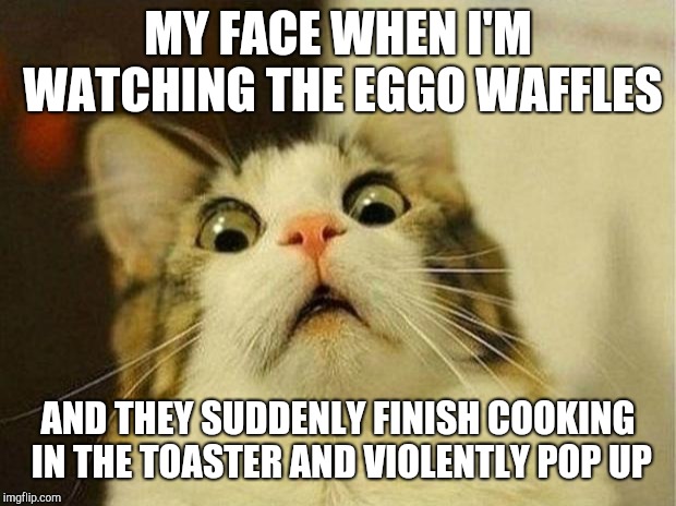 Scared Cat | MY FACE WHEN I'M WATCHING THE EGGO WAFFLES; AND THEY SUDDENLY FINISH COOKING IN THE TOASTER AND VIOLENTLY POP UP | image tagged in memes,scared cat | made w/ Imgflip meme maker
