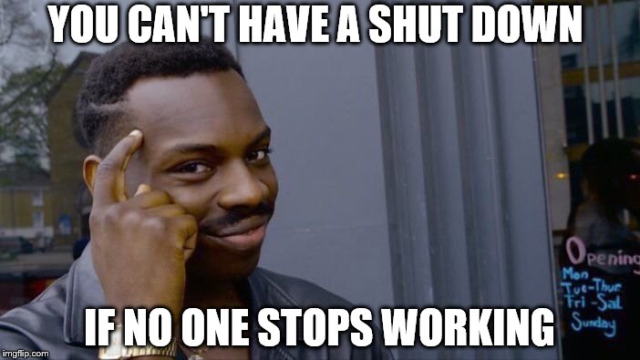 Roll Safe Think About It Meme | YOU CAN'T HAVE A SHUT DOWN IF NO ONE STOPS WORKING | image tagged in memes,roll safe think about it | made w/ Imgflip meme maker