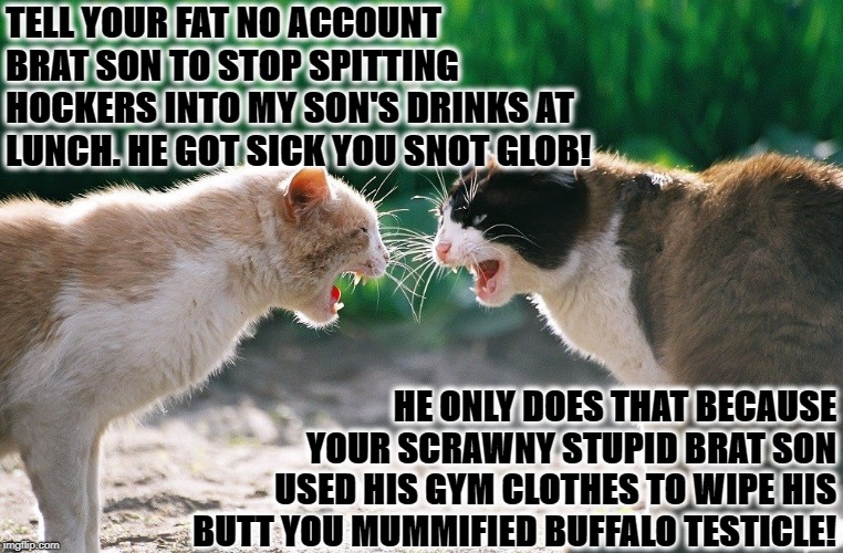 CAT FIGHT | TELL YOUR FAT NO ACCOUNT BRAT SON TO STOP SPITTING HOCKERS INTO MY SON'S DRINKS AT LUNCH. HE GOT SICK YOU SNOT GLOB! HE ONLY DOES THAT BECAUSE YOUR SCRAWNY STUPID BRAT SON USED HIS GYM CLOTHES TO WIPE HIS BUTT YOU MUMMIFIED BUFFALO TESTICLE! | image tagged in cat fight | made w/ Imgflip meme maker