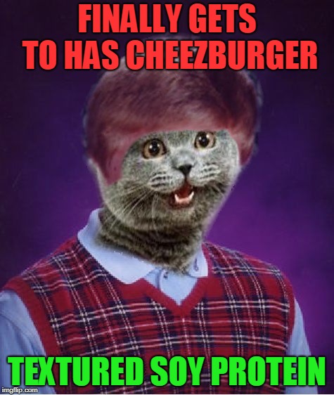 Bad Luck Cat | FINALLY GETS TO HAS CHEEZBURGER; TEXTURED SOY PROTEIN | image tagged in i haz bad luck,cheezburger,nixieknox,memes,where's the beef | made w/ Imgflip meme maker