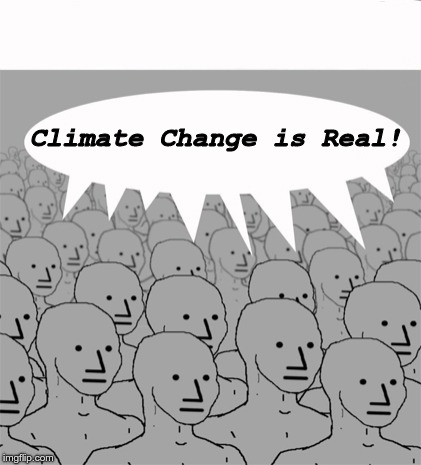 NPCProgramScreed | Climate Change is Real! | image tagged in npcprogramscreed | made w/ Imgflip meme maker