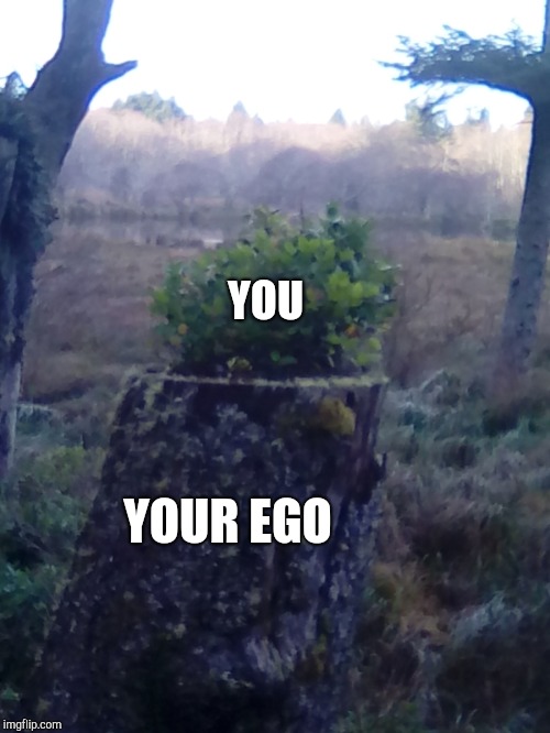 YOU YOUR EGO | made w/ Imgflip meme maker