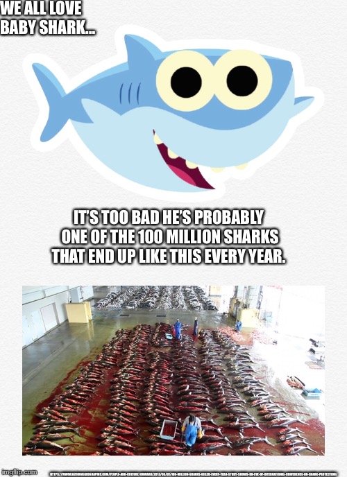 Ocean Conservation Meme (class assignment) |  WE ALL LOVE BABY SHARK... IT’S TOO BAD HE’S PROBABLY ONE OF THE 100 MILLION SHARKS THAT END UP LIKE THIS EVERY YEAR. HTTPS://WWW.NATIONALGEOGRAPHIC.COM/PEOPLE-AND-CULTURE/ONWARD/2013/03/01/100-MILLION-SHARKS-KILLED-EVERY-YEAR-STUDY-SHOWS-ON-EVE-OF-INTERNATIONAL-CONFERENCE-ON-SHARK-PROTECTION/ | image tagged in baby shark,ocean,conservation,school | made w/ Imgflip meme maker