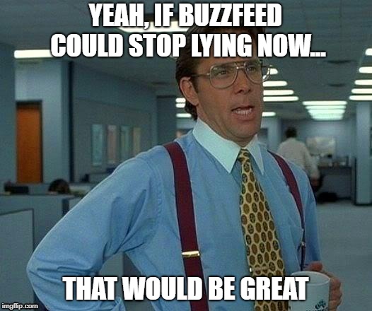 That Would Be Great | YEAH, IF BUZZFEED COULD STOP LYING NOW... THAT WOULD BE GREAT | image tagged in memes,that would be great | made w/ Imgflip meme maker