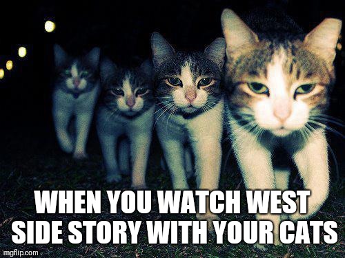 Wrong Neighboorhood Cats Meme | WHEN YOU WATCH WEST SIDE STORY WITH YOUR CATS | image tagged in memes,wrong neighboorhood cats | made w/ Imgflip meme maker